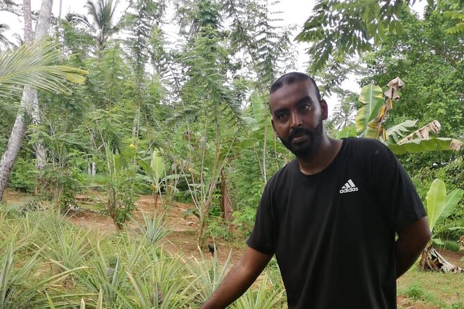 Zanzibar Spice Tour - Walking through Kidichi Spice Farm