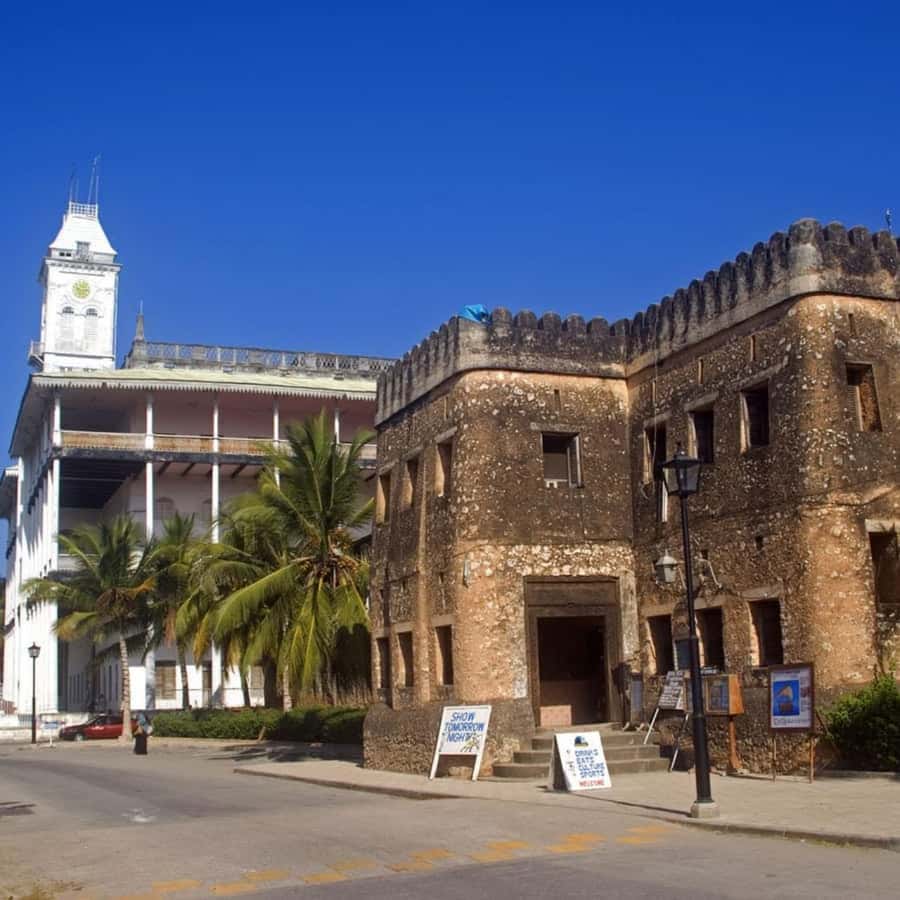 ZANZIBAR: Stone Town and Jozani Forest Guided Tour - The day at a glance