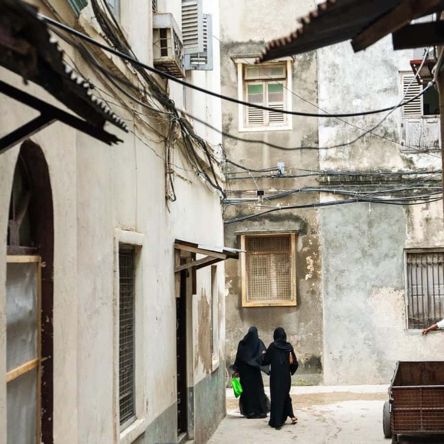 ZANZIBAR: Stone Town and Jozani Forest Guided Tour - The drive to Jozani Forest