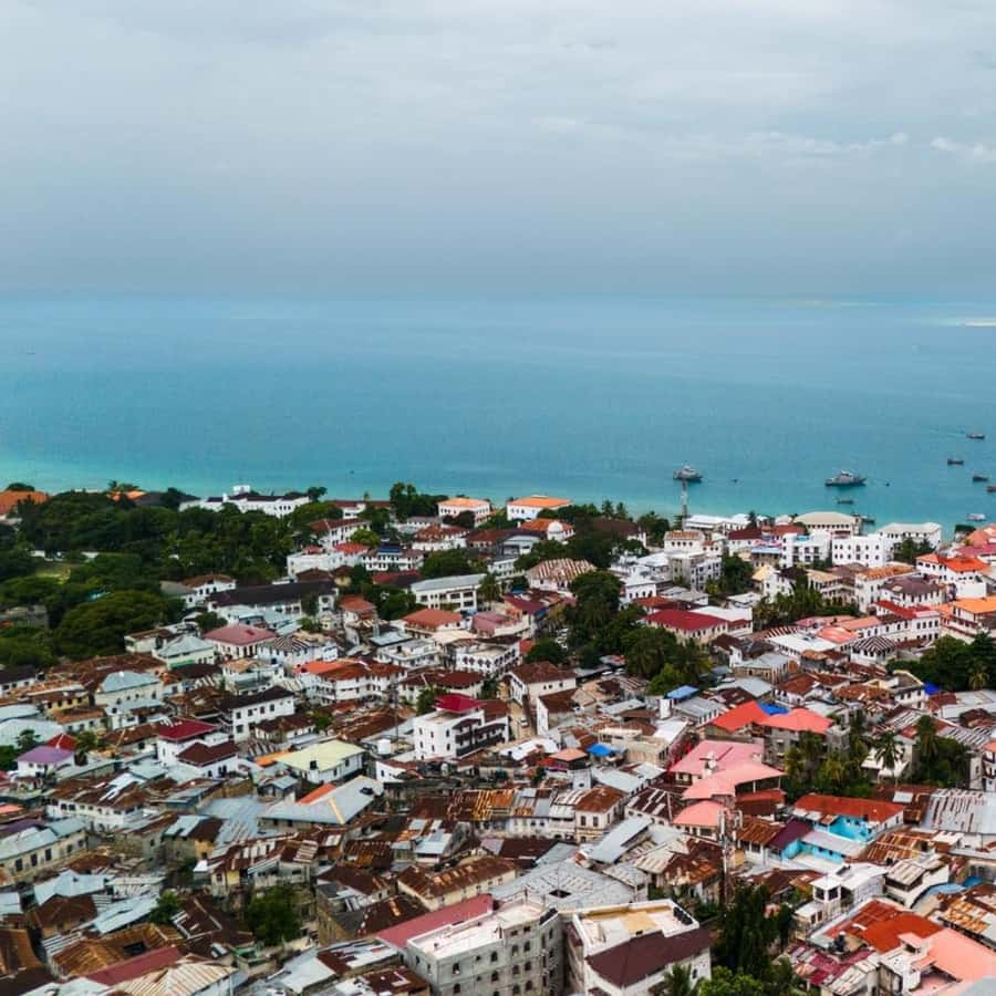 ZANZIBAR: Stone Town and Jozani Forest Guided Tour - Jozani Forest and the red colobus monkeys