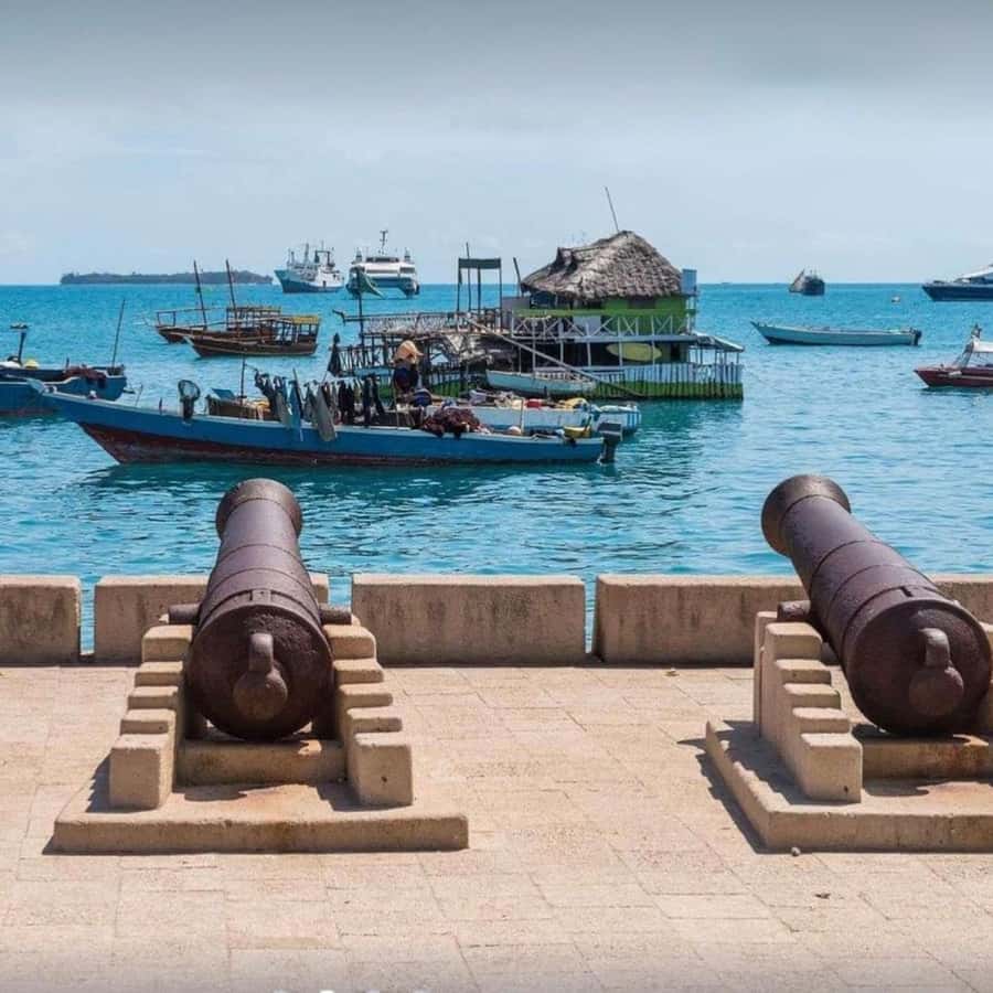 ZANZIBAR: Stone Town and Jozani Forest Guided Tour - What $70 really buys you