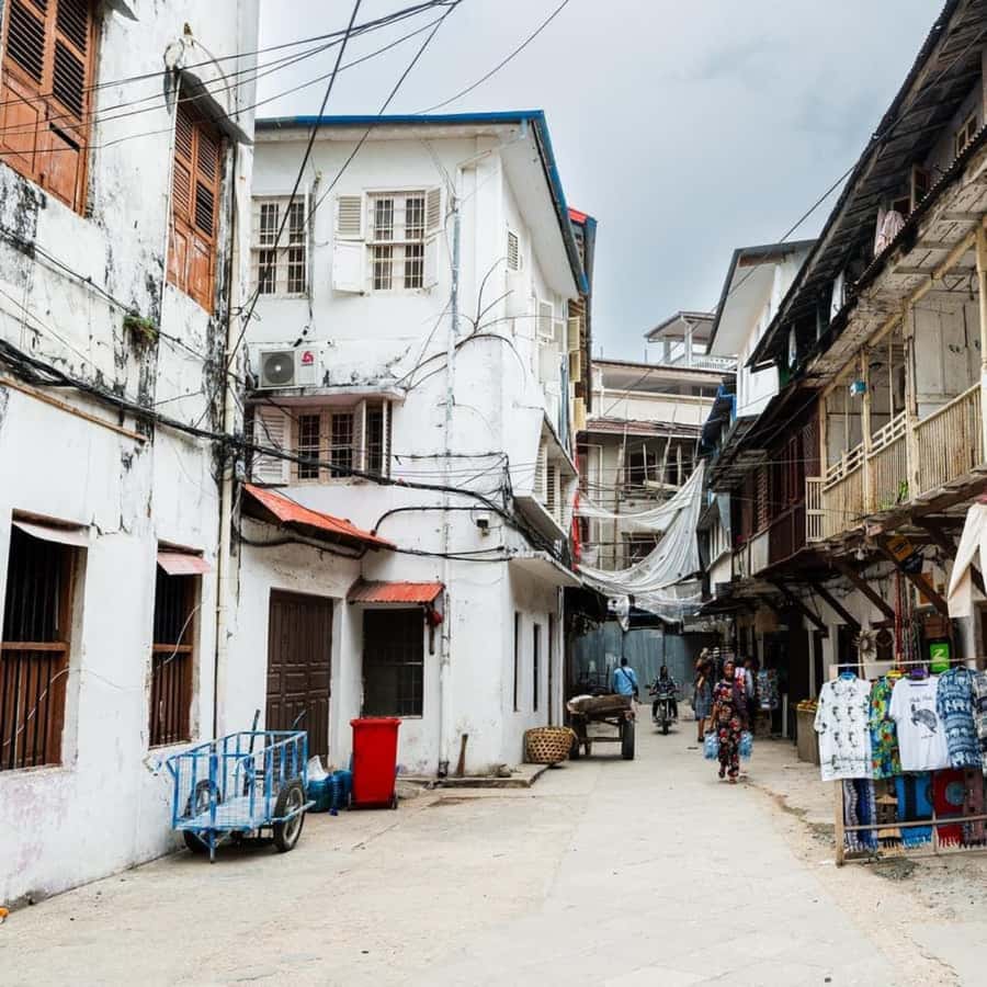 ZANZIBAR: Stone Town and Jozani Forest Guided Tour - Small details that improve the day