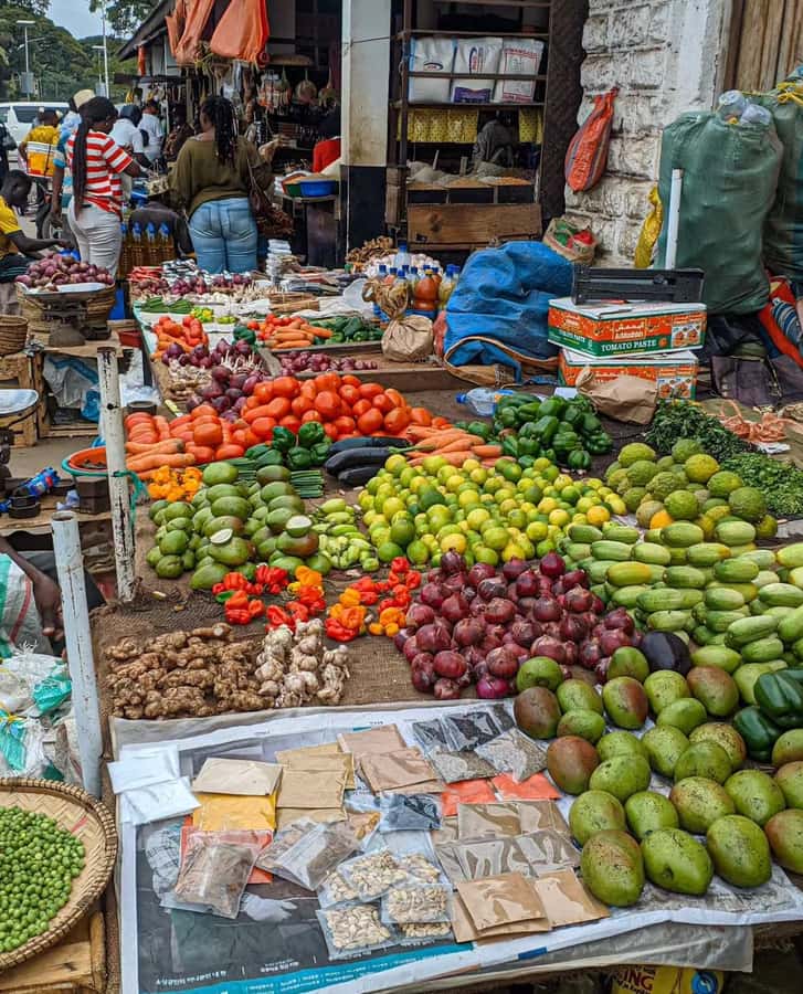 Zanzibar: Stone Town and Prison Island Private with Lunch - Why this pairing works so well