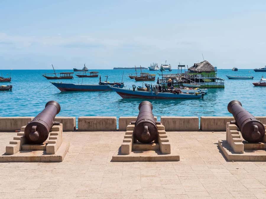 Zanzibar: Stone Town City Tour and Spice Farm with Lunch - City Market and the fish auction