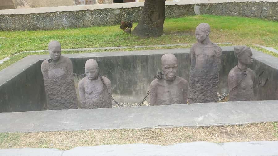 Zanzibar: Stone Town City Tour and Spice Farm with Lunch - Timing, transport, and the risk of a very long day