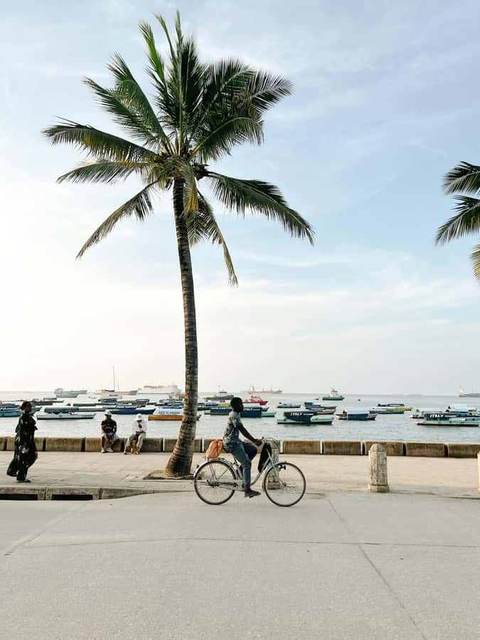Zanzibar: Stone Town Heritage & Slave Market Tour - What the guide adds to a $19 walking tour