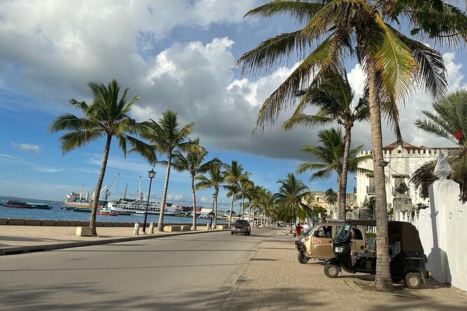 Zanzibar Stone Town Highlight walking tour - A private guide changes the pace