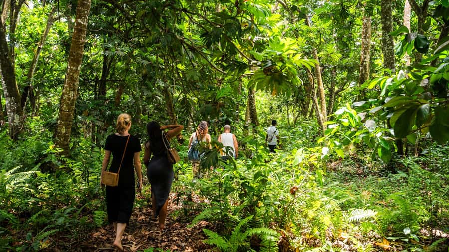 Zanzibar: Stone Town, History and Jozani Forest Guided Tour - Is $95 a Fair Price?