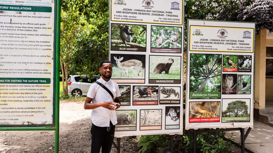 Zanzibar: Stone Town, History and Jozani Forest Guided Tour - Jozani Forest and the Red Colobus Monkeys