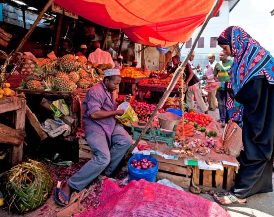 Zanzibar: Stone Town History Walking Tour with a Local Guide - Key points to know before you book