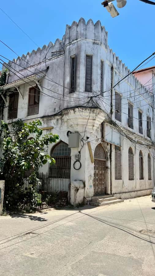 Zanzibar: Stone Town History Walking Tour with a Local Guide - Starting in Stone Town and meeting your guide