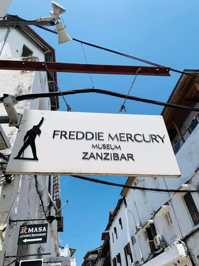 Zanzibar: Stone town Insights & Jozani forest Exploration - Why combine Jozani Forest with Stone Town?