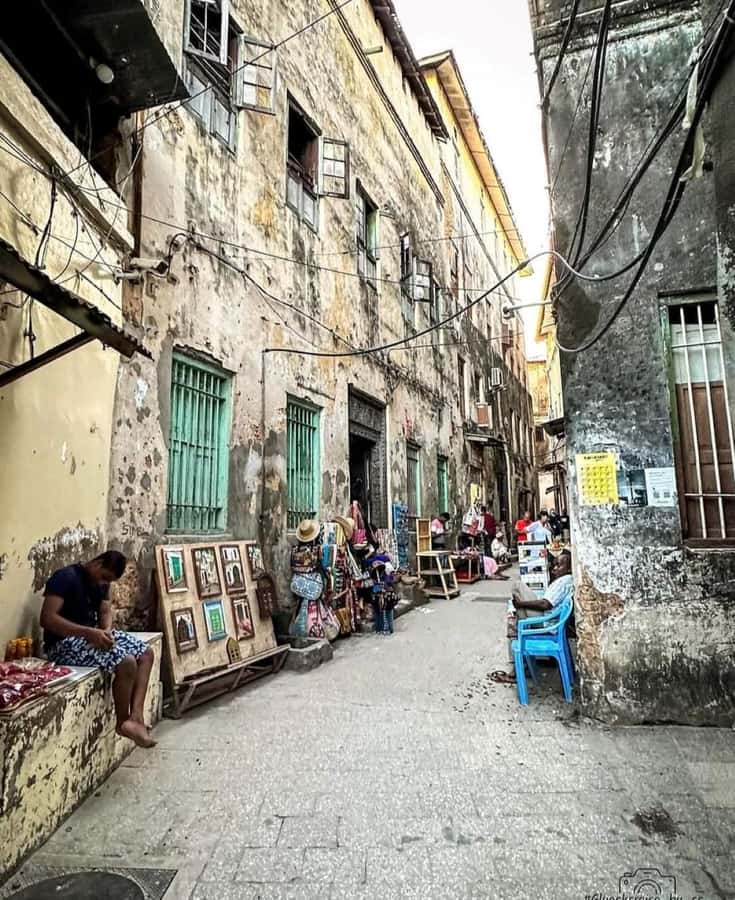 Zanzibar: Stone town Insights & Jozani forest Exploration - Mangroves add a coastal lesson