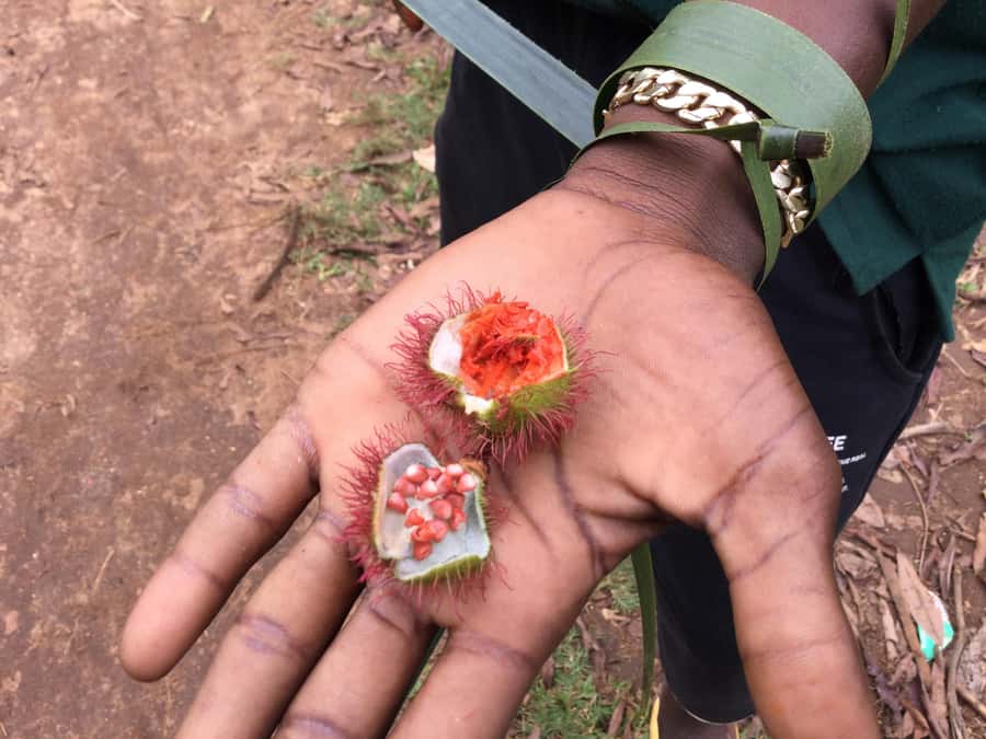 Zanzibar:Stone Town & Spice Farm Private Tour Lunch Included - Walking through Zanzibar’s spice country
