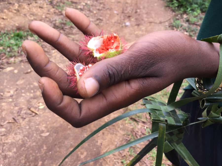 Zanzibar:Stone Town & Spice Farm Private Tour Lunch Included - Tropical fruit and Swahili lunch