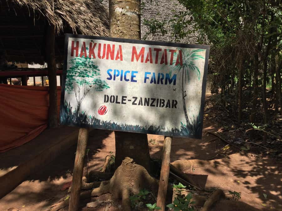 Zanzibar:Stone Town & Spice Farm Private Tour Lunch Included - Stone Town’s narrow streets and mixed architecture