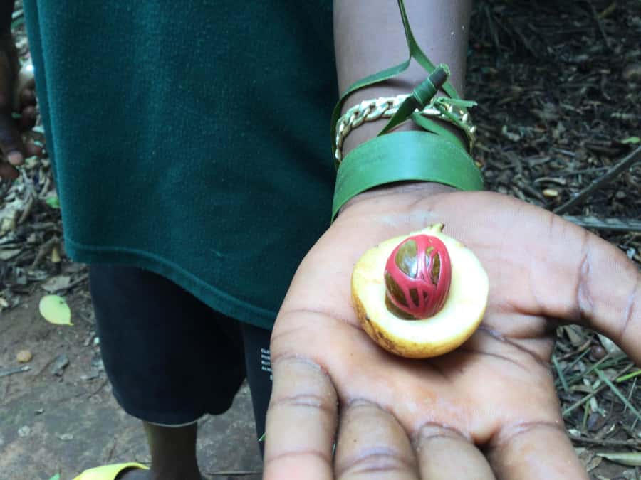 Zanzibar:Stone Town & Spice Farm Private Tour Lunch Included - What the private format adds