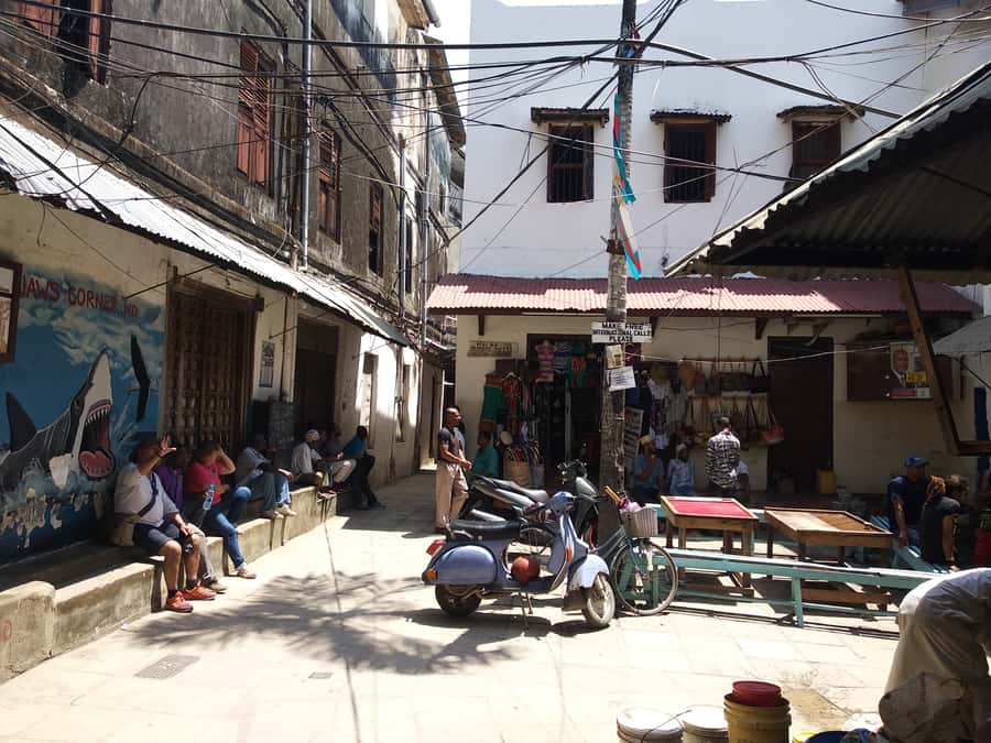 Zanzibar: Stone Town & Spice Farm Tour with Lunch - The spice farm: Zanzibar’s most enjoyable stop