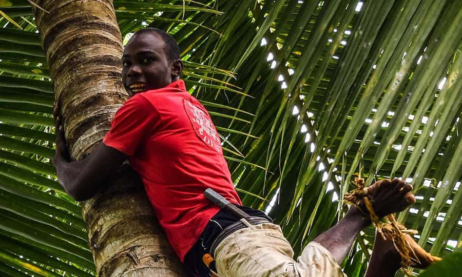ZANZIBAR, Stone town tour, Prison Island & Spice farm - The spice farm, where Zanzibar becomes a meal
