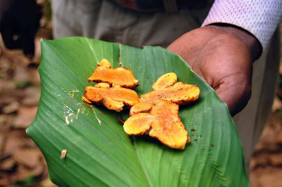 ZANZIBAR, Stone town tour, Prison Island & Spice farm - Practical advice for a smoother day