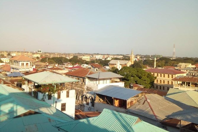 Zanzibar Stone Town Walking Tour - The House of Wonders and the old waterfront
