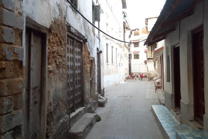 Zanzibar Stone Town Walking Tour - What $30 buys you