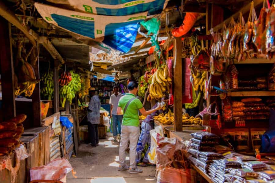 Zanzibar: Stone Town Walking Tour with Guide - Freddie Mercury Museum and modern Stone Town