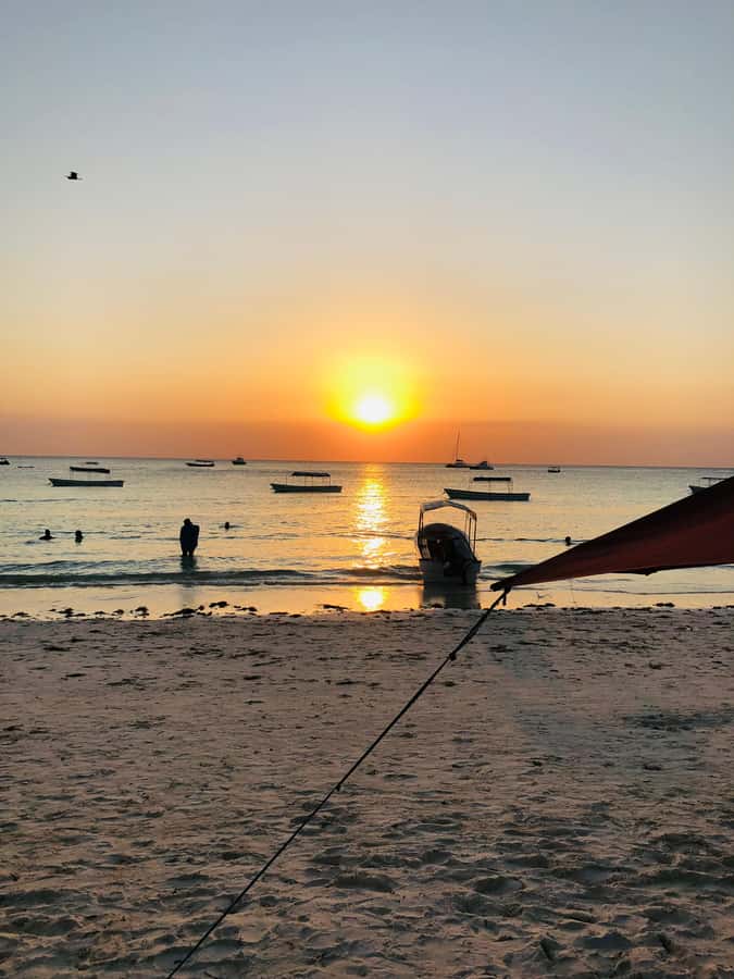 Zanzibar: Sunset Dhow Cruise - Drums, singing, and dancing on the water