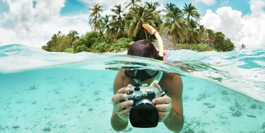 Zanzibar : Swim with dolphin + Snorkel mnemba coral Reef - Key points to know before booking