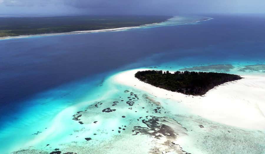 Zanzibar : Swim with dolphin + Snorkel mnemba coral Reef - Is $24 good value for Zanzibar?