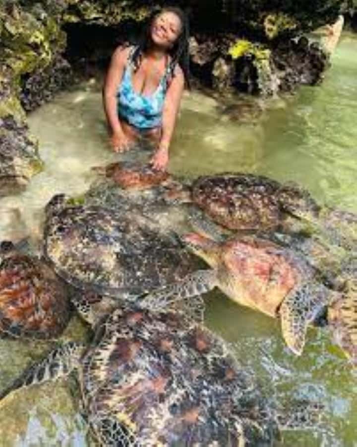 Zanzibar: Swim with Sea Turtles at Baraka or Salaam Aquarium - Getting the best time and the best photos