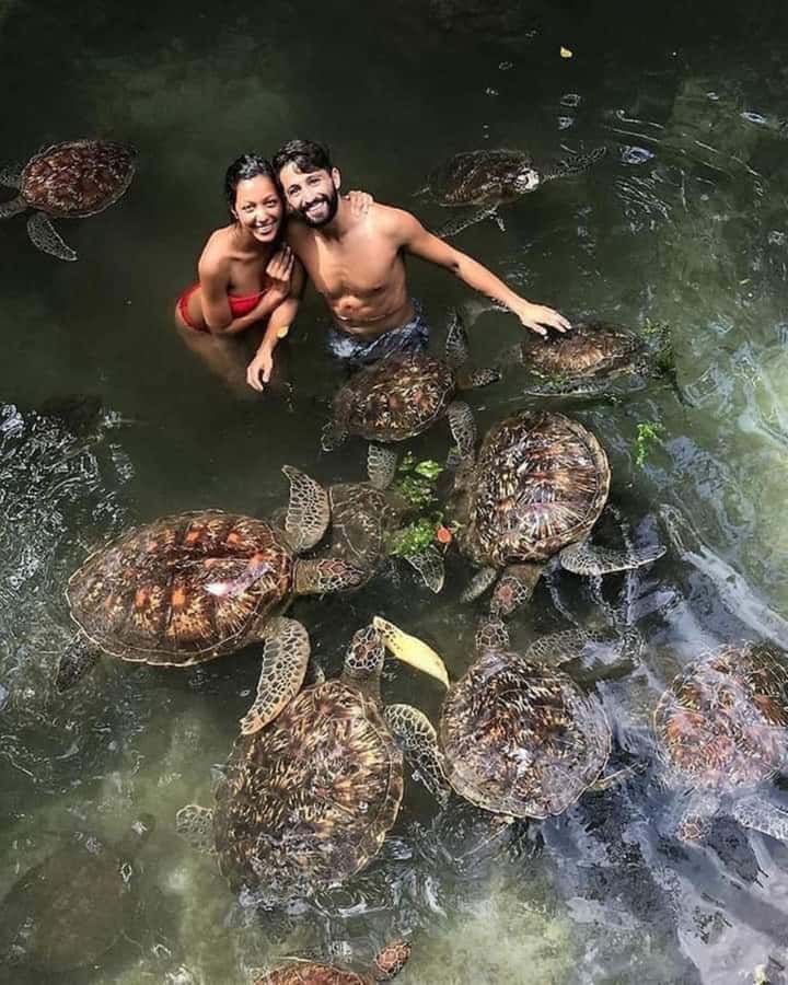 Zanzibar: Swim with turtles at Nungwi - Visiting Salaam Aquarium in Kizimkazi