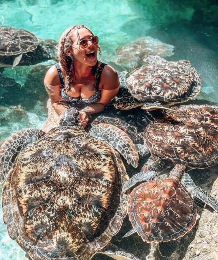 Zanzibar: Swim with turtles at Nungwi - The value of $75 per person