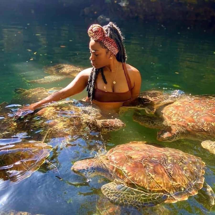Zanzibar: Swim with turtles at Nungwi - A few practical questions to settle first