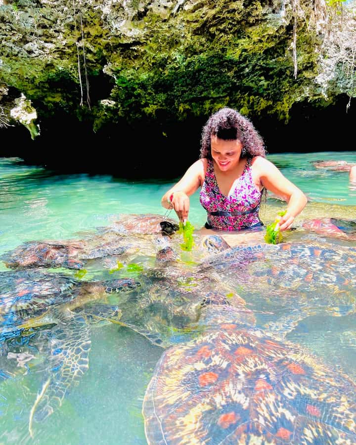 Zanzibar: Swim with Turtles Sanctuary Tour - What happens at the Nungwi Turtle Sanctuary