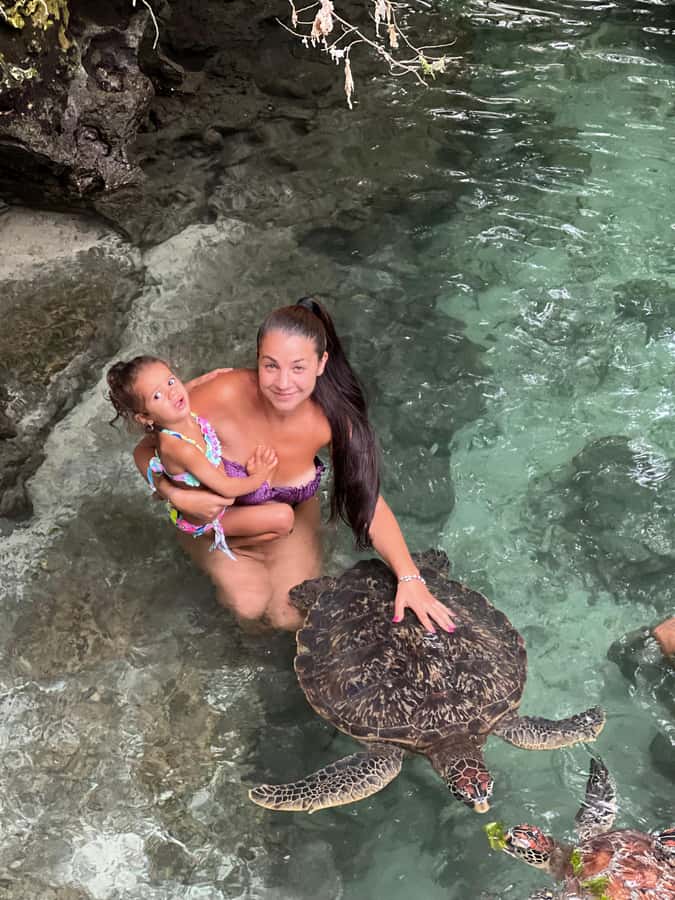 Zanzibar: Swim with Turtles Sanctuary Tour - Choosing the best time to visit