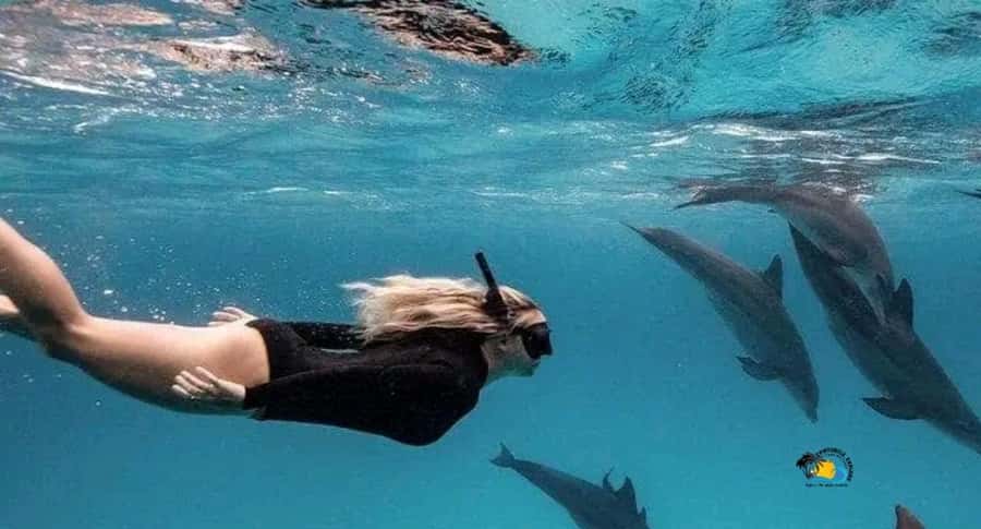 Zanzibar: Swimming & Snorkeling at Mnemba Atoll with Fruits - Snorkeling around Mnemba Island