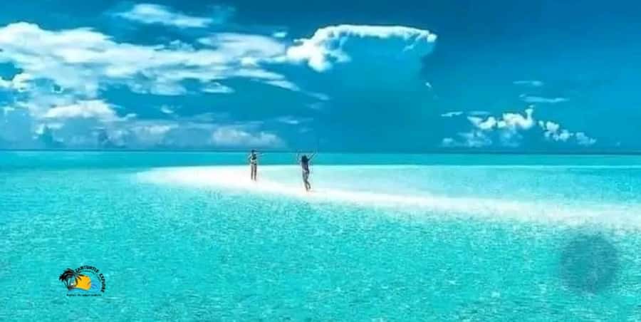 Zanzibar: Swimming & Snorkeling at Mnemba Atoll with Fruits - The ride back and final food stop