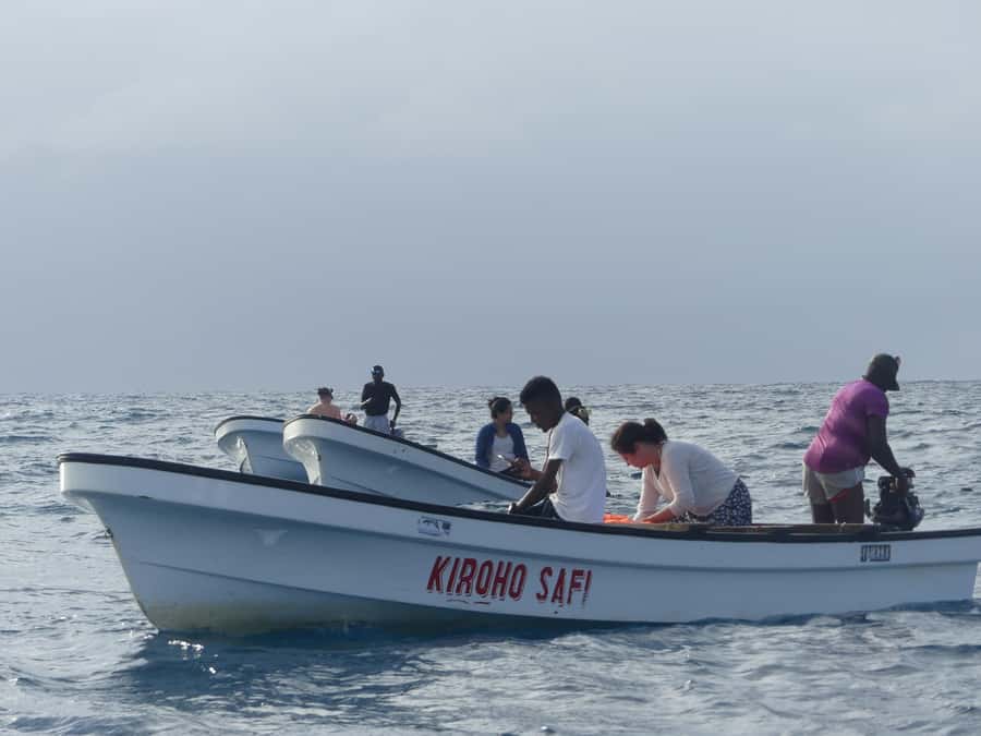 Zanzibar: Swimming with Dolphins and Snorkeling Private Tour - Service, language, and group style