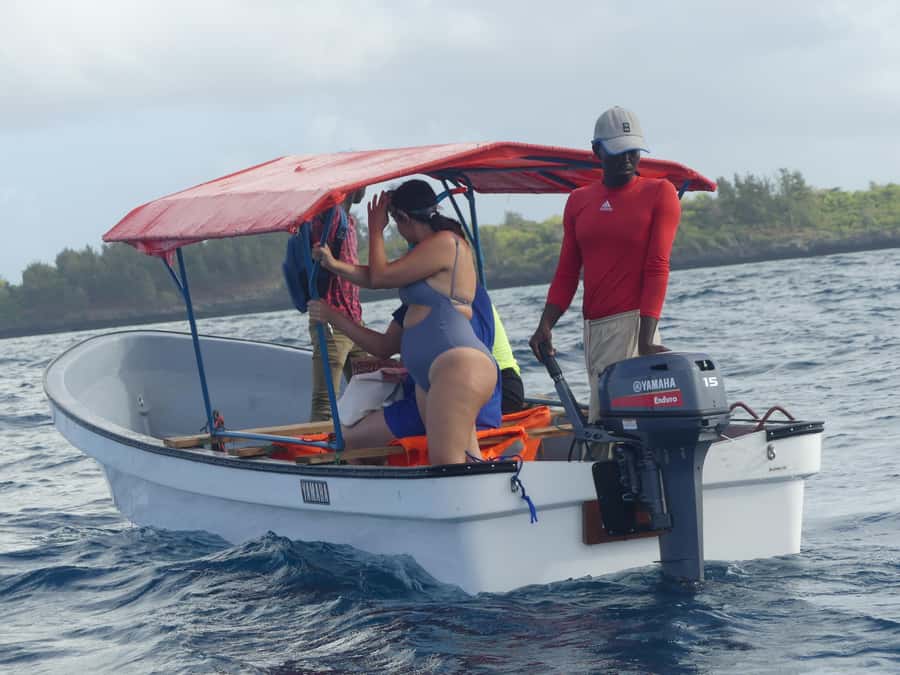 Zanzibar: Swimming with Dolphins and Snorkeling Private Tour - Who will enjoy this Zanzibar tour?