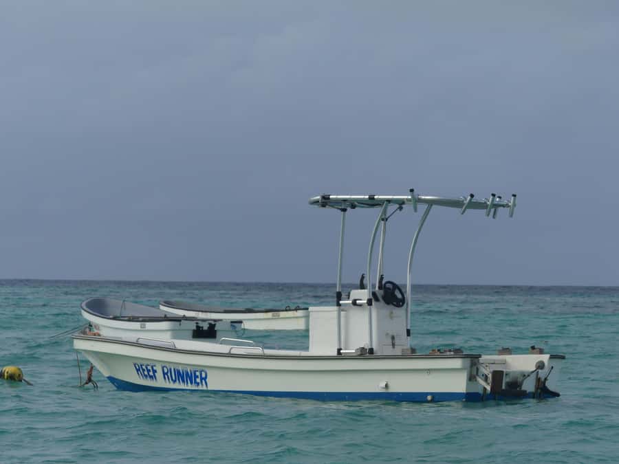 Zanzibar: Swimming with Dolphins and Snorkeling Private Tour - Searching the open sea for dolphins