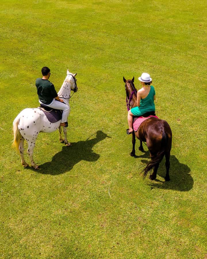 Zanzibar: Swimming With Horse and Clear Kayaking Tour - Why this Zanzibar combination works