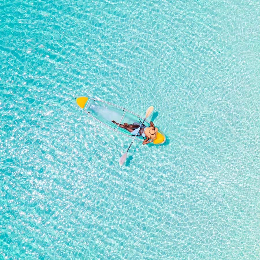Zanzibar: Swimming With Horse and Clear Kayaking Tour - Starting from Stone Town, Nungwi, or Kizimkazi