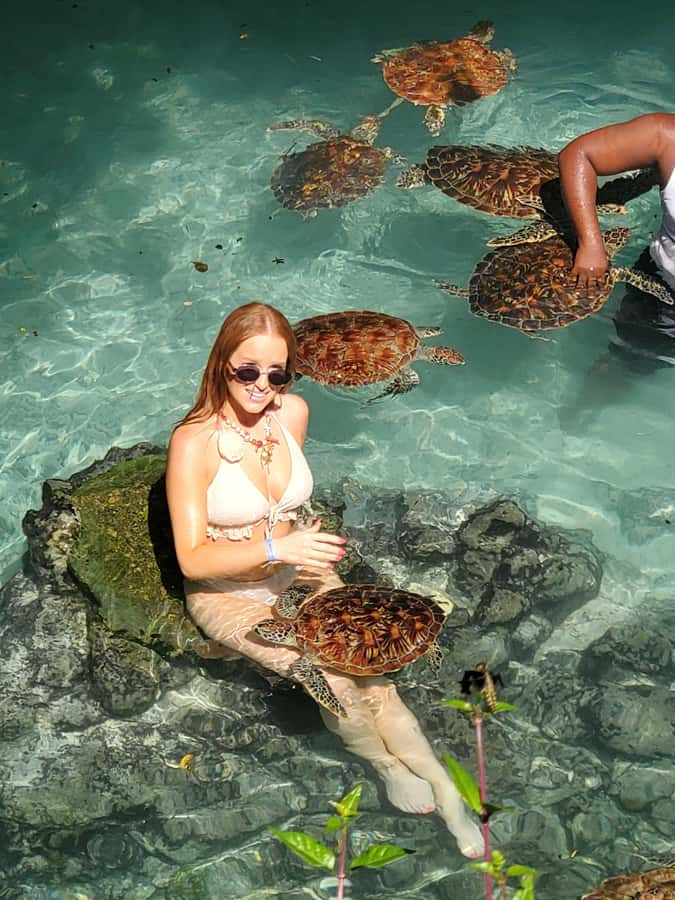 Zanzibar: Swimming with Sea turtles at Salaam cave - Key points to know before booking