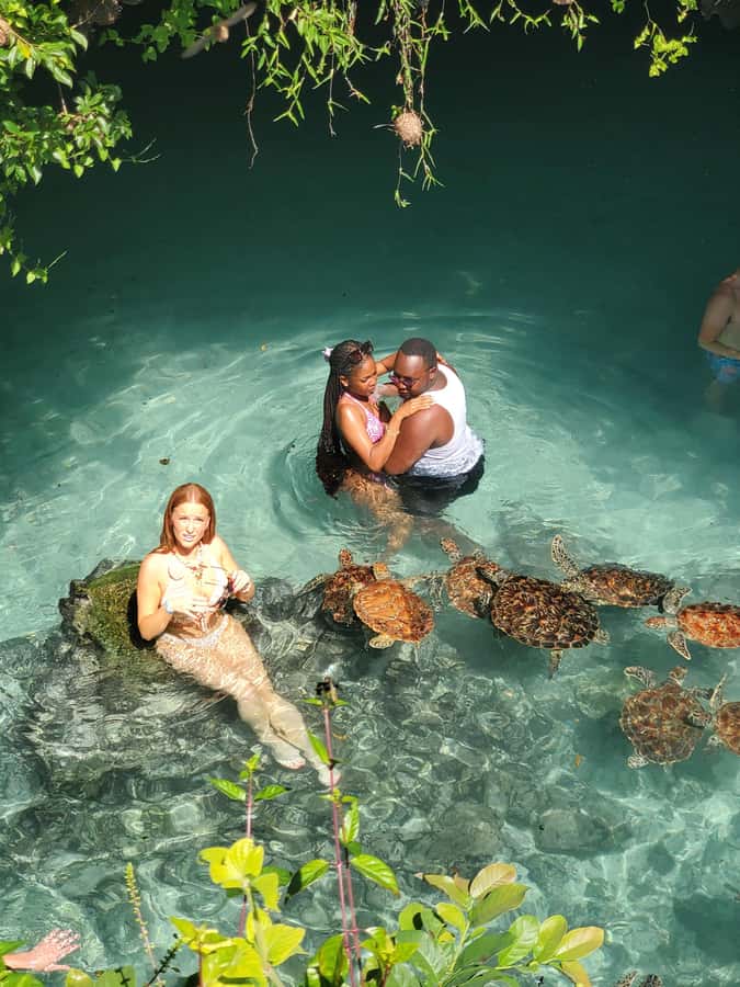 Zanzibar: Swimming with Sea turtles at Salaam cave - Swimming beside the turtles