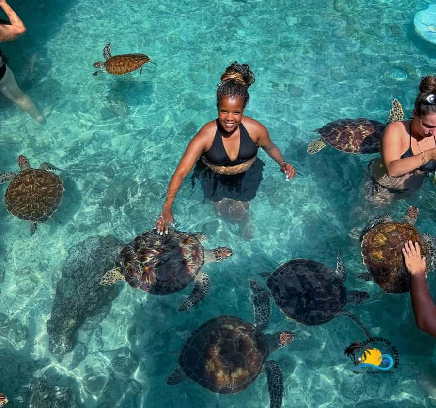 Zanzibar: Swimming with Turtles at Salaam Cave Aquarium - Swimming with the turtles requires care