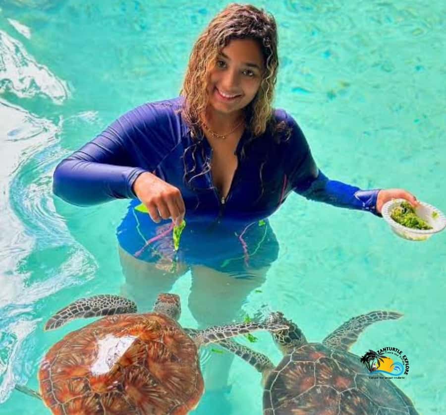 Zanzibar: Swimming with Turtles at Salaam Cave Aquarium - A private group does not mean a private cave