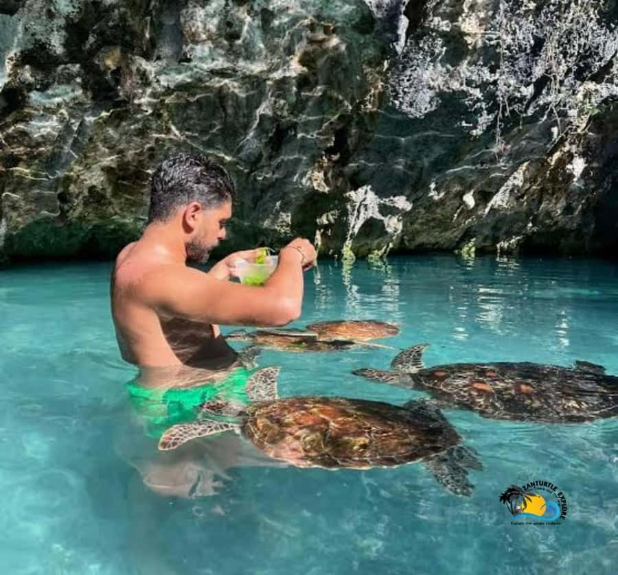 Zanzibar: Swimming with Turtles at Salaam Cave Aquarium - Is $56 a fair price?