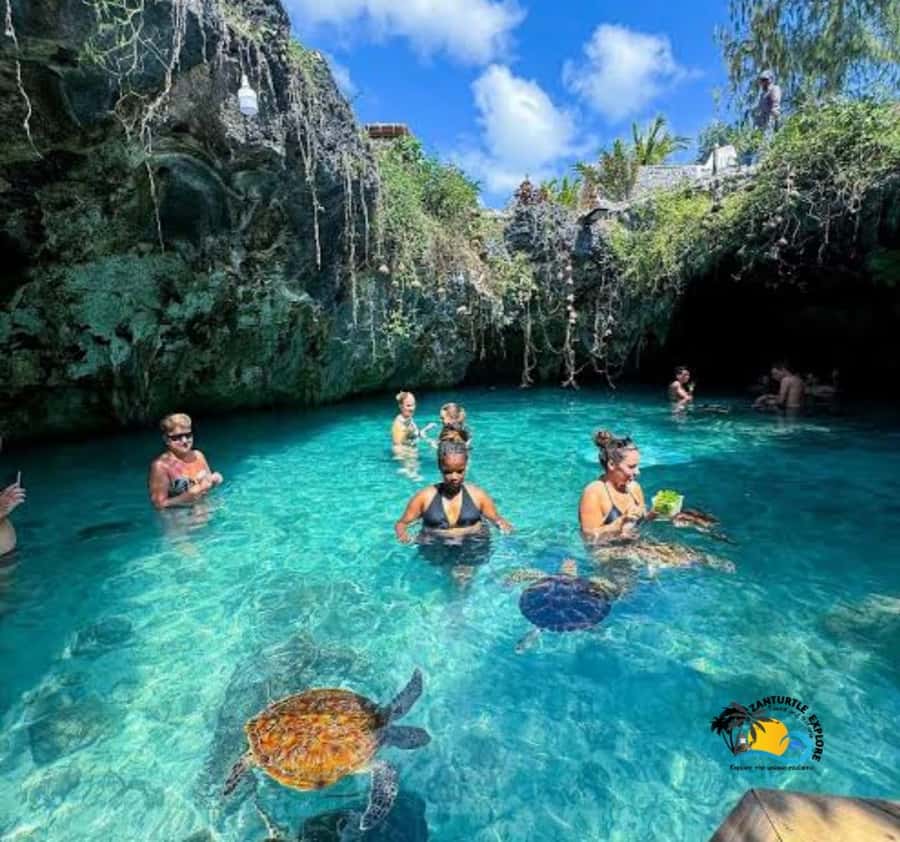 Zanzibar: Swimming with Turtles at Salaam Cave Aquarium - Who will enjoy this most?