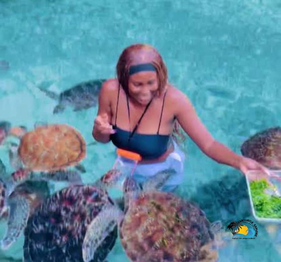 Zanzibar: Swimming with Turtles at Salaam Cave Aquarium - Practical booking advice